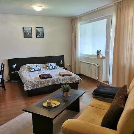 Sunny Studio Apartment - Few Steps From Gondola Bansko Dış mekan fotoğraf