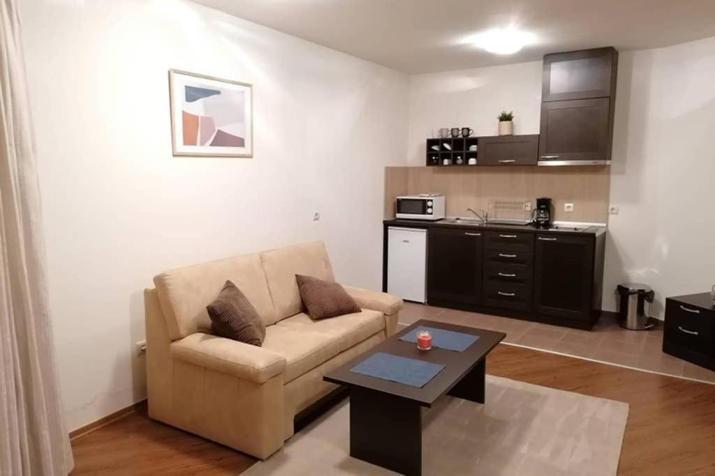Sunny Studio Apartment - Few Steps From Gondola Bansko Dış mekan fotoğraf