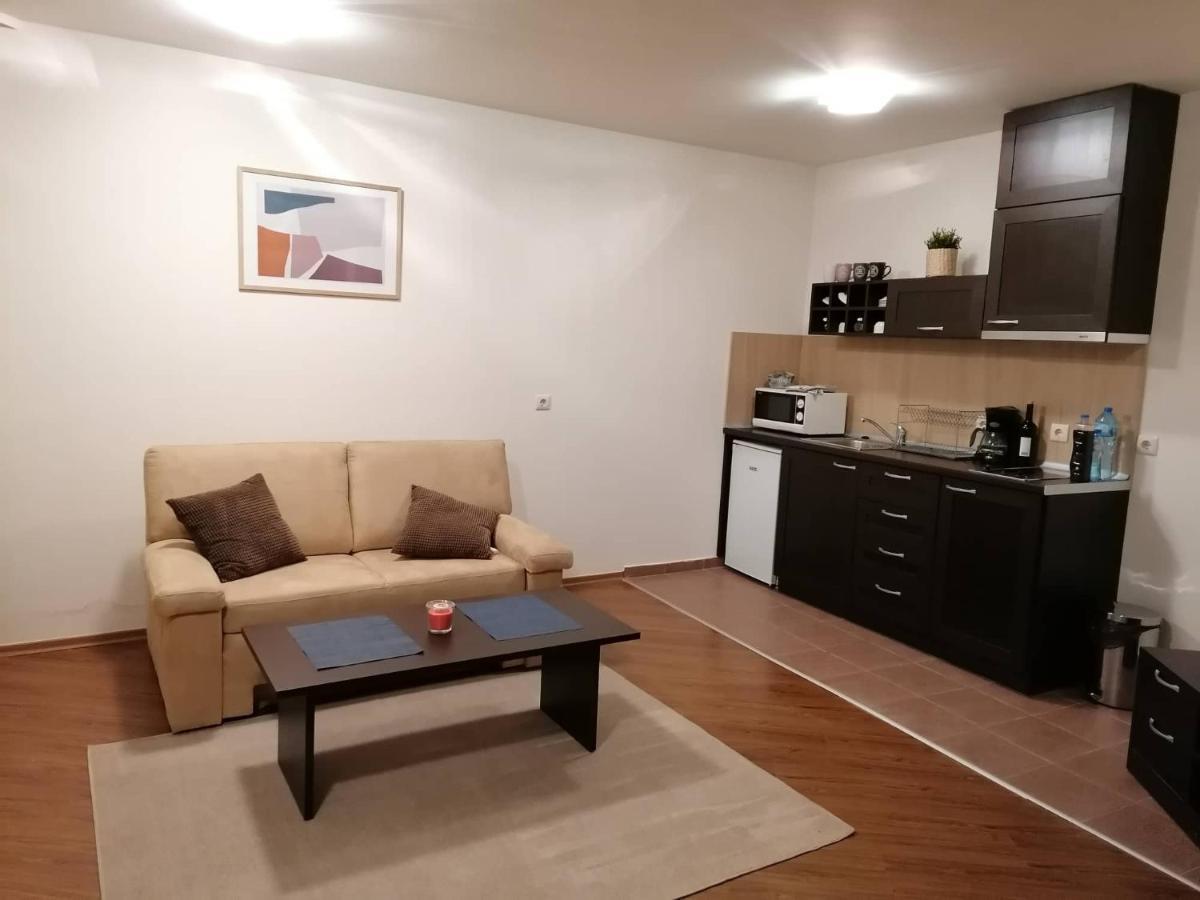 Sunny Studio Apartment - Few Steps From Gondola Bansko Dış mekan fotoğraf
