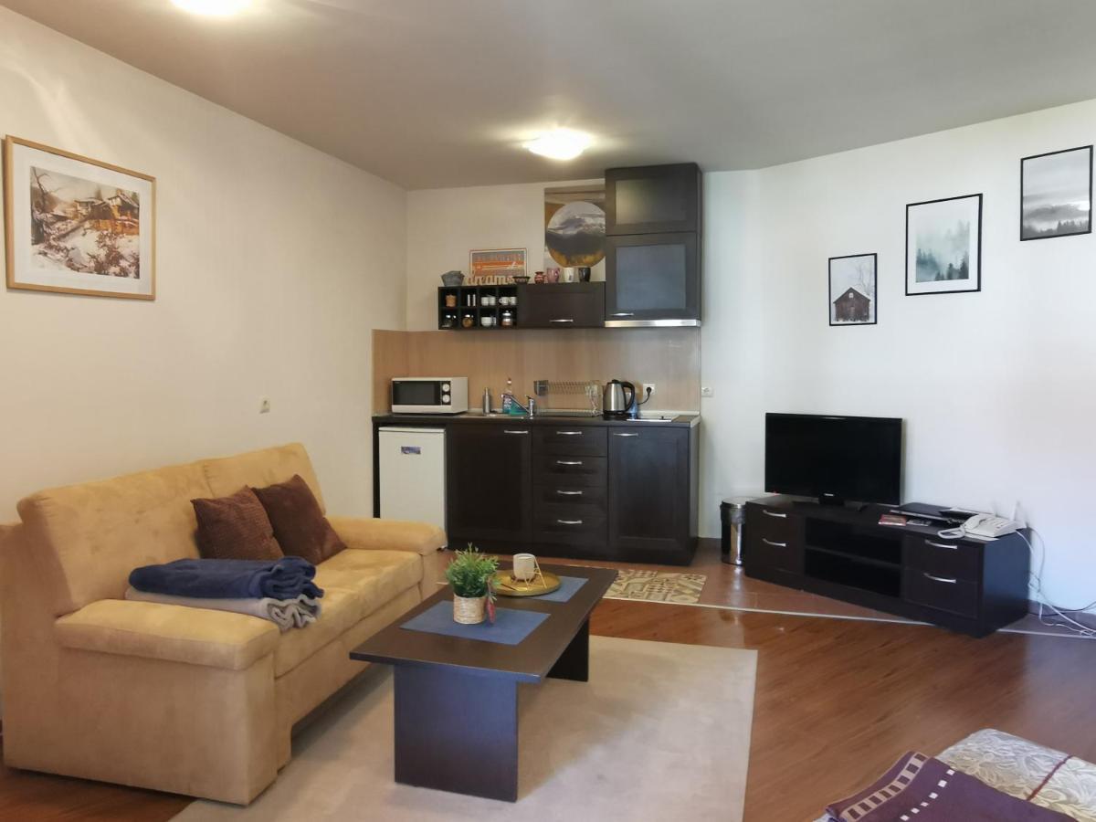 Sunny Studio Apartment - Few Steps From Gondola Bansko Dış mekan fotoğraf