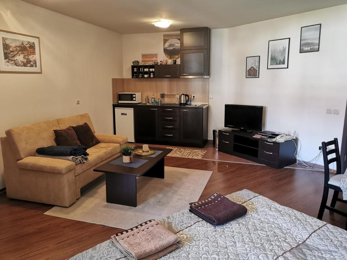 Sunny Studio Apartment - Few Steps From Gondola Bansko Dış mekan fotoğraf